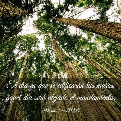 Picture 03 - Miqueas 7:11 RVA - El día en que se edificarán tus muros, aquel - Bible Verse Picture