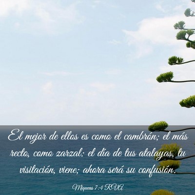 Picture 03 - Miqueas 7:4 RVA - El mejor de ellos es como el cambrón; el más - Bible Verse Picture