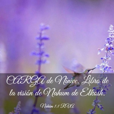 Picture 03 - Nahúm 1:1 RVA - CARGA de Nínive. Libro de la visión de Nahum de - Bible Verse Picture