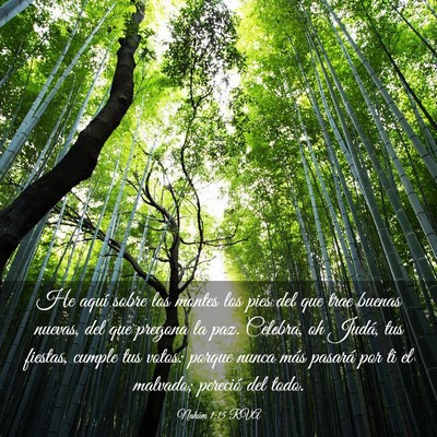 Picture 03 - Nahúm 1:15 RVA - He aquí sobre los montes los pies del que trae - Bible Verse Picture