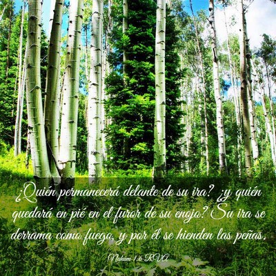 Picture 03 - Nahúm 1:6 RVA - ¿Quién permanecerá delante de su ira? ¿y - Bible Verse Picture