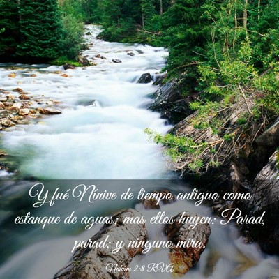Picture 03 - Nahúm 2:8 RVA - Y fué Nínive de tiempo antiguo como estanque de - Bible Verse Picture