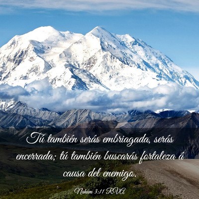 Picture 03 - Nahúm 3:11 RVA - Tú también serás embriagada, serás encerrada; - Bible Verse Picture