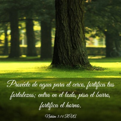 Picture 03 - Nahúm 3:14 RVA - Provéete de agua para el cerco, fortifica tus - Bible Verse Picture