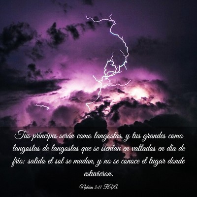 Picture 03 - Nahúm 3:17 RVA - Tus príncipes serán como langostas, y tus - Bible Verse Picture