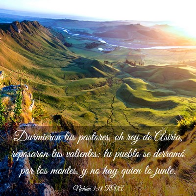 Picture 03 - Nahúm 3:18 RVA - Durmieron tus pastores, oh rey de Asiria, - Bible Verse Picture