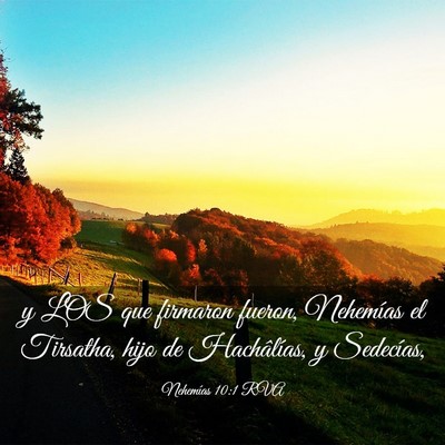 Picture 03 - Nehemías 10:1 RVA - y LOS que firmaron fueron, Nehemías el Tirsatha, - Bible Verse Picture