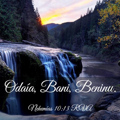 Picture 03 - Nehemías 10:13 RVA - Odaía, Bani, - Bible Verse Picture