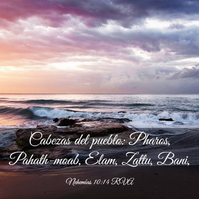 Picture 03 - Nehemías 10:14 RVA - Cabezas del pueblo: Pharos, Pahath-moab, Elam, - Bible Verse Picture