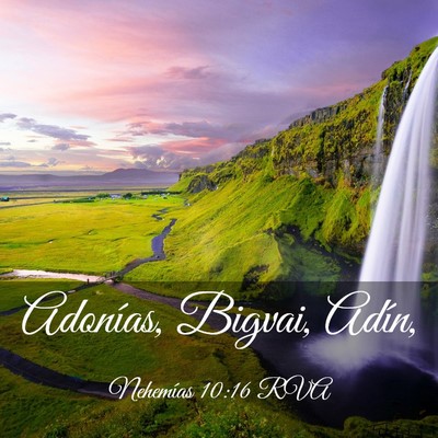 Picture 03 - Nehemías 10:16 RVA - Adonías, Bigvai, - Bible Verse Picture