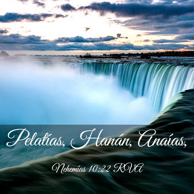 Picture 03 - Nehemías 10:22 RVA - Pelatías, Hanán, - Bible Verse Picture