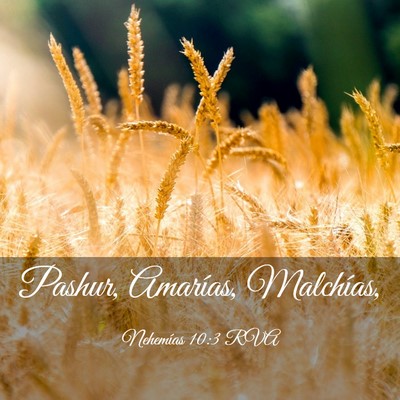Picture 03 - Nehemías 10:3 RVA - Pashur, Amarías, - Bible Verse Picture