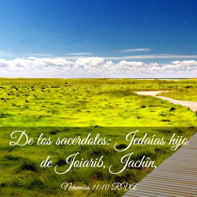 Picture 03 - Nehemías 11:10 RVA - De los sacerdotes: Jedaías hijo de Joiarib, - Bible Verse Picture