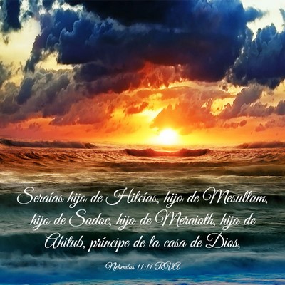 Picture 03 - Nehemías 11:11 RVA - Seraías hijo de Hilcías, hijo de Mesullam, hijo - Bible Verse Picture