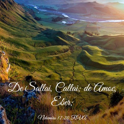 Picture 03 - Nehemías 12:20 RVA - De Sallai, Callai; de Amoc, - Bible Verse Picture