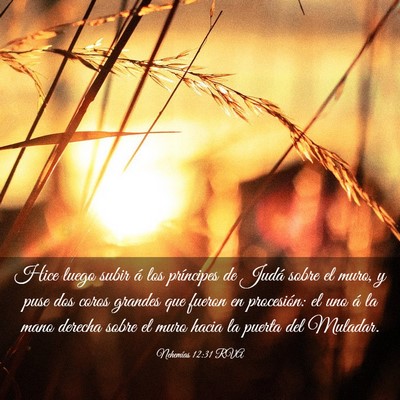 Picture 03 - Nehemías 12:31 RVA - Hice luego subir á los príncipes de Judá sobre - Bible Verse Picture