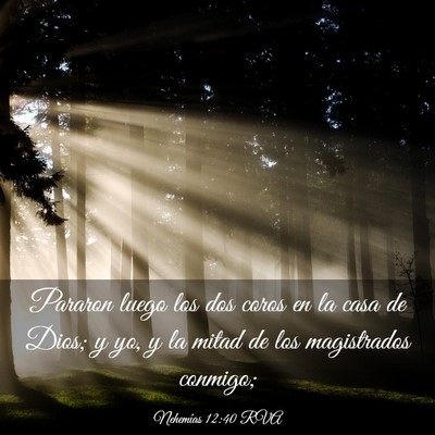 Picture 03 - Nehemías 12:40 RVA - Pararon luego los dos coros en la casa de Dios; y - Bible Verse Picture