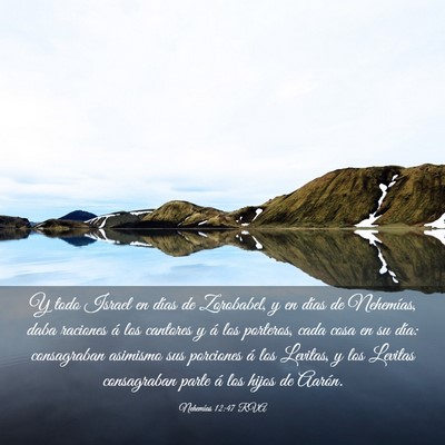 Picture 03 - Nehemías 12:47 RVA - Y todo Israel en días de Zorobabel, y en días - Bible Verse Picture