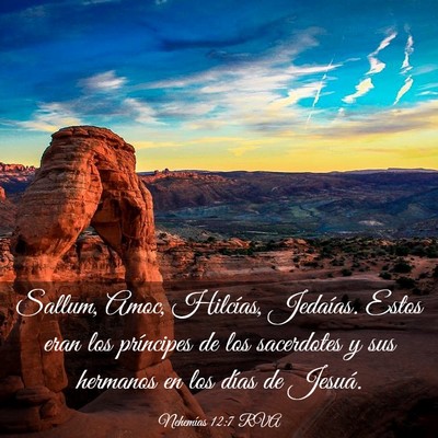 Picture 03 - Nehemías 12:7 RVA - Sallum, Amoc, Hilcías, Jedaías. Estos eran los - Bible Verse Picture