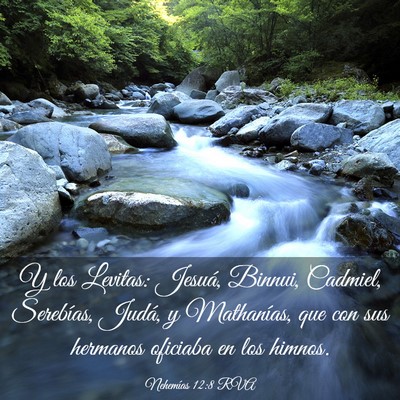 Picture 03 - Nehemías 12:8 RVA - Y los Levitas: Jesuá, Binnui, Cadmiel, - Bible Verse Picture