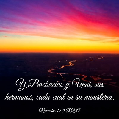 Picture 03 - Nehemías 12:9 RVA - Y Bacbucías y Unni, sus hermanos, cada cual en - Bible Verse Picture