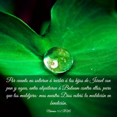 Picture 03 - Nehemías 13:2 RVA - Por cuanto no salieron á recibir á los hijos de - Bible Verse Picture