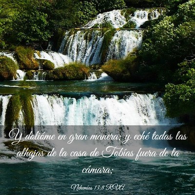 Picture 03 - Nehemías 13:8 RVA - Y dolióme en gran manera; y eché todas las - Bible Verse Picture