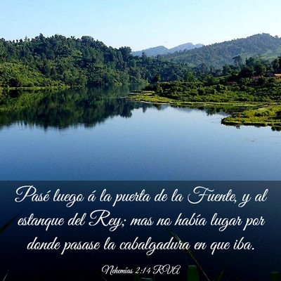 Picture 03 - Nehemías 2:14 RVA - Pasé luego á la puerta de la Fuente, y al - Bible Verse Picture