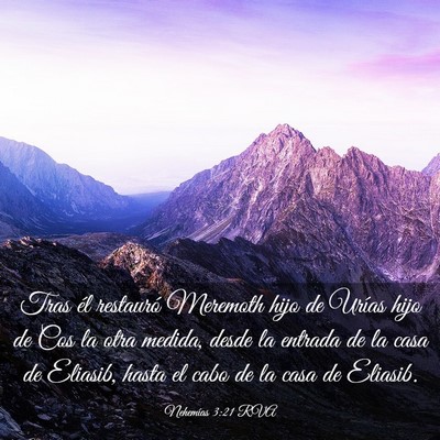 Picture 03 - Nehemías 3:21 RVA - Tras él restauró Meremoth hijo de Urías hijo - Bible Verse Picture