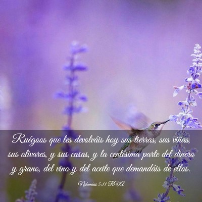 Picture 03 - Nehemías 5:11 RVA - Ruégoos que les devolváis hoy sus tierras, sus - Bible Verse Picture