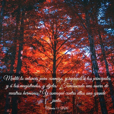 Picture 03 - Nehemías 5:7 RVA - Medité lo entonces para conmigo, y reprendí á - Bible Verse Picture