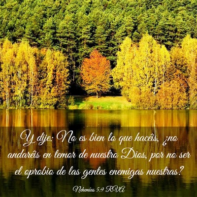 Picture 03 - Nehemías 5:9 RVA - Y dije: No es bien lo que hacéis, ¿no andaréis - Bible Verse Picture
