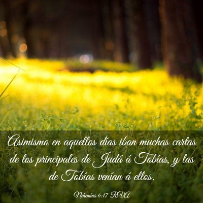 Picture 03 - Nehemías 6:17 RVA - Asimismo en aquellos días iban muchas cartas de - Bible Verse Picture