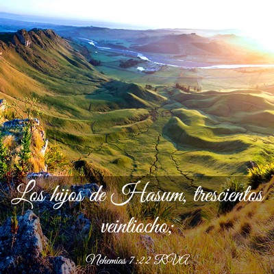 Picture 03 - Nehemías 7:22 RVA - Los hijos de Hasum, trescientos - Bible Verse Picture
