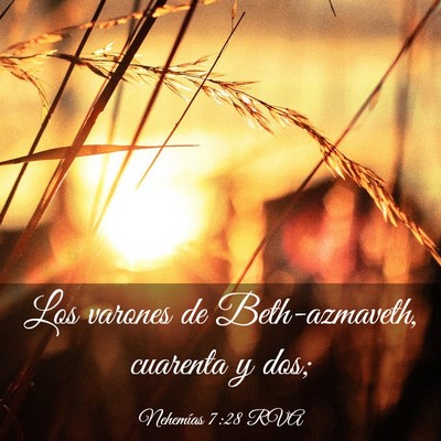 Picture 03 - Nehemías 7:28 RVA - Los varones de Beth-azmaveth, cuarenta y - Bible Verse Picture