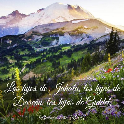 Picture 03 - Nehemías 7:58 RVA - Los hijos de Jahala, los hijos de Darcón, los - Bible Verse Picture