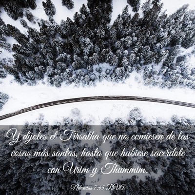 Picture 03 - Nehemías 7:65 RVA - Y díjoles el Tirsatha que no comiesen de las - Bible Verse Picture
