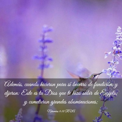 Picture 03 - Nehemías 9:18 RVA - Además, cuando hicieron para sí becerro de - Bible Verse Picture
