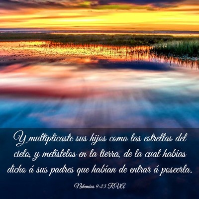 Picture 03 - Nehemías 9:23 RVA - Y multiplicaste sus hijos como las estrellas del - Bible Verse Picture
