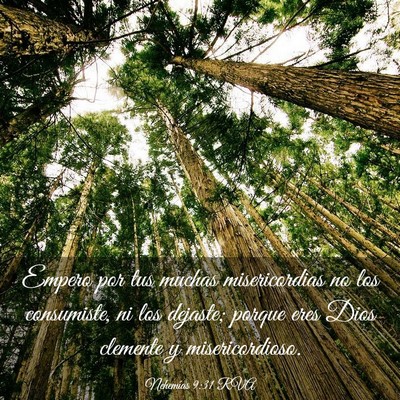 Picture 03 - Nehemías 9:31 RVA - Empero por tus muchas misericordias no los - Bible Verse Picture