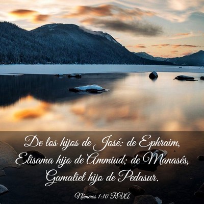 Picture 03 - Números 1:10 RVA - De los hijos de José: de Ephraim, Elisama hijo - Bible Verse Picture