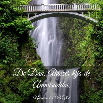 Picture 03 - Números 1:12 RVA - De Dan, Ahiezer hijo de - Bible Verse Picture