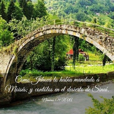 Picture 03 - Números 1:19 RVA - Como Jehová lo había mandado á Moisés; y - Bible Verse Picture