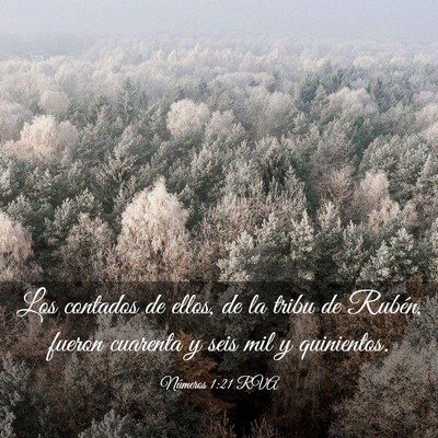 Picture 03 - Números 1:21 RVA - Los contados de ellos, de la tribu de Rubén, - Bible Verse Picture