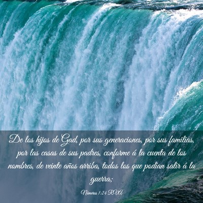 Picture 03 - Números 1:24 RVA - De los hijos de Gad, por sus generaciones, por - Bible Verse Picture