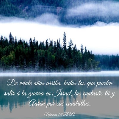 Picture 03 - Números 1:3 RVA - De veinte años arriba, todos los que pueden - Bible Verse Picture