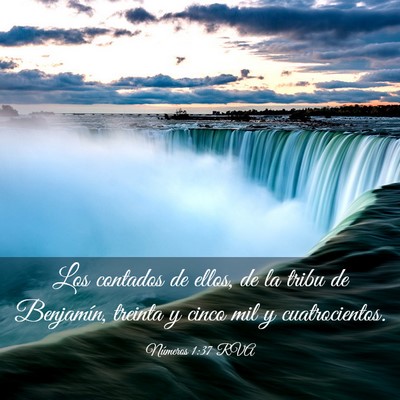 Picture 03 - Números 1:37 RVA - Los contados de ellos, de la tribu de Benjamín, - Bible Verse Picture