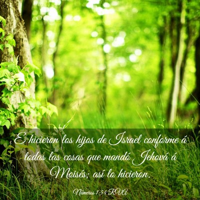 Picture 03 - Números 1:54 RVA - E hicieron los hijos de Israel conforme á todas - Bible Verse Picture