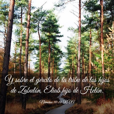 Picture 03 - Números 10:16 RVA - Y sobre el ejército de la tribu de los hijos de - Bible Verse Picture