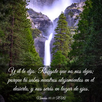 Picture 03 - Números 10:31 RVA - Y él le dijo: Ruégote que no nos dejes; porque - Bible Verse Picture